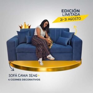 seng-edicion-especial-contexto
