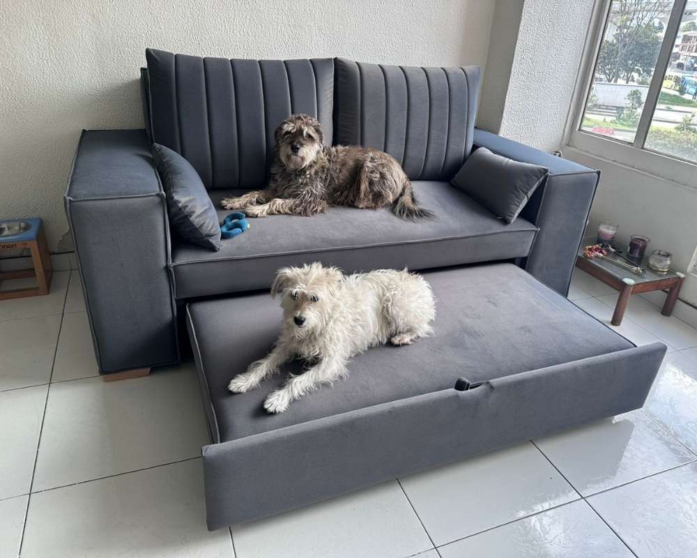 Pareja con perros